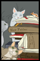New Fables: Summer 2007