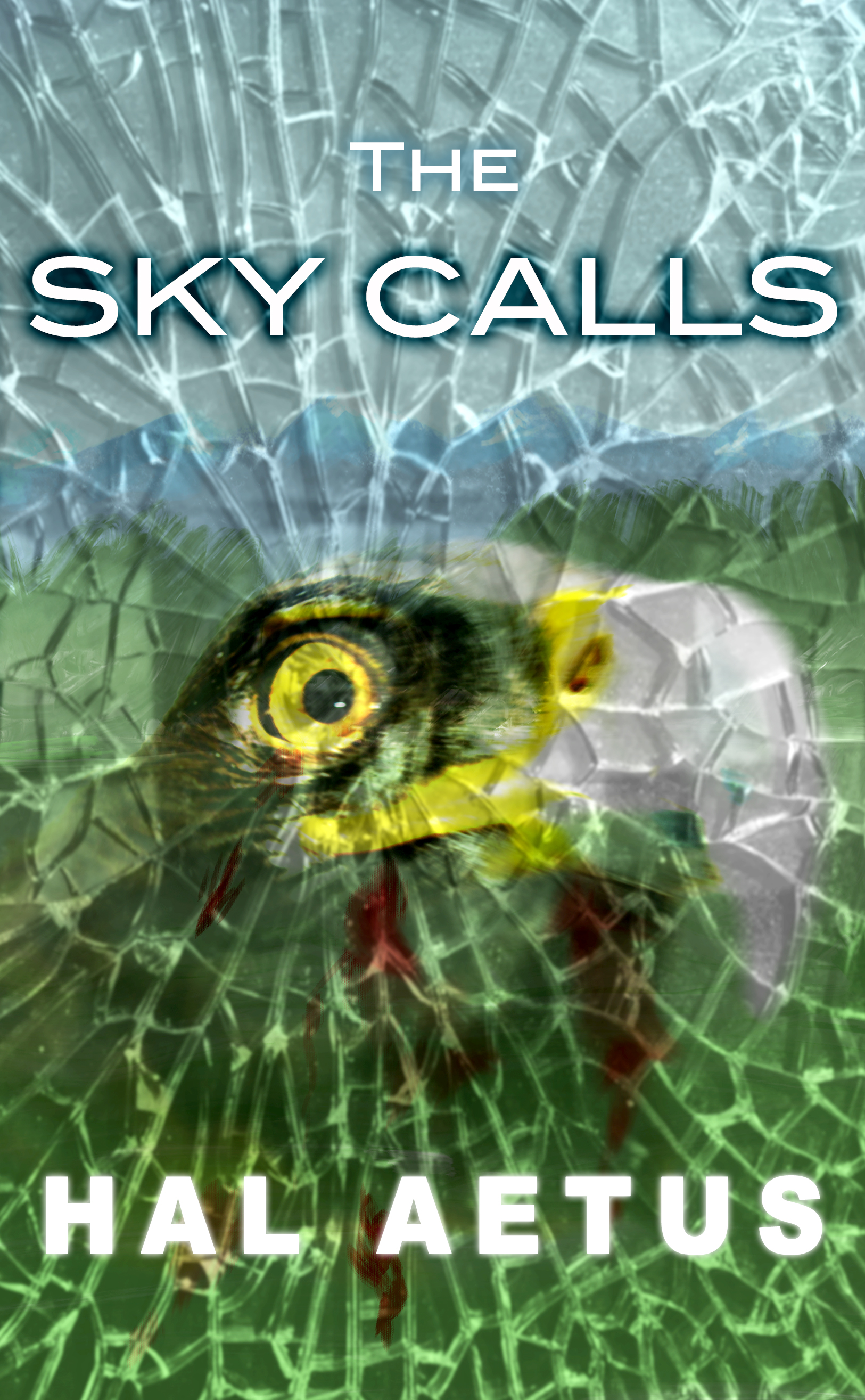 The Sky Calls